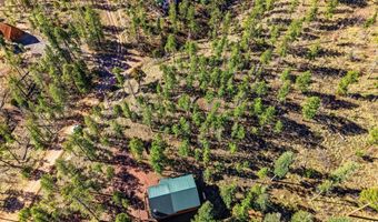 12 W Pergatory Dr, Alpine, AZ 85920