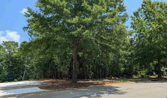 1060 Coogler Crossing Dr, Blythewood, SC 29016