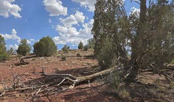 215 Cathedral Vly, Ash Fork, AZ 86320