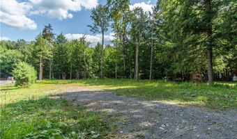 Parcel A Beaver Trail, Alder Creek, NY 13301