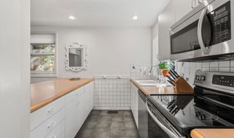 100 N 8th Street 24, Aspen, CO 81611