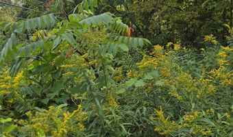 124-125 Prospect St 1230-VL00.0005  1230-VL0004, Barre, VT 05641