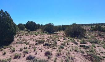 236 N9233 SE, Concho, AZ 85924