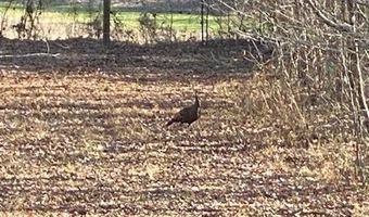 CR 6121, Baldwyn, MS 38824