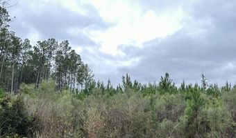 Tract # 6411 S White Road, Chipley, FL 32428