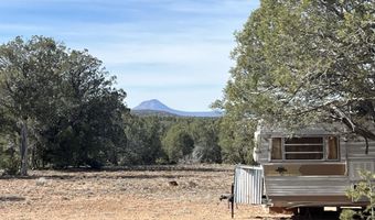5 Deer Droppings, Ash Fork, AZ 86320