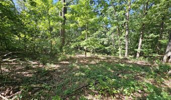 65 Acres Plainview Rd, Anderson, MO 64831