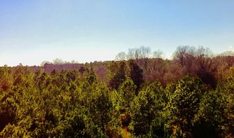Loon Road, Barnwell, SC 29812