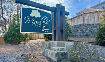 372 Conifer Ln, Ball Ground, GA 30107