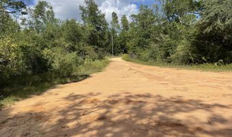 2355 Momence Ct, Alford, FL 32420