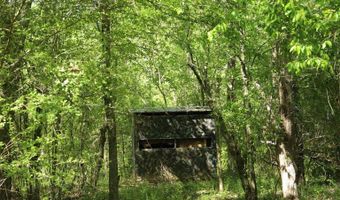 4820 COUNTY ROAD 22, Ashville, AL 35953