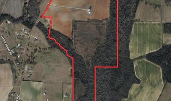 1243 Silcox Rd, Ashford, AL 36312