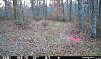 Chase Rd, Athens, OH 45701