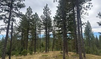 1 Black Mountain Rd, Baker City, OR 97814