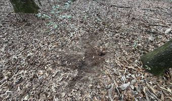 County Road 72, Ariton, AL 36311
