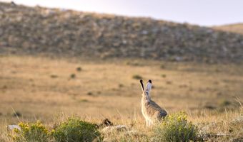 Sheep Mountain Road, Centennial, WY 82055