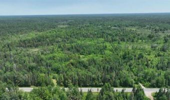 6002 Wildwood, Alger, MI 48610