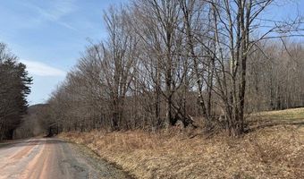 Lot 2 Doig Hollow Road, Andes, NY 13731