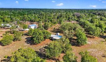 11751 NE 116TH St, Archer, FL 32618