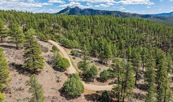 20861 Hwy 160, Bayfield, CO 81122