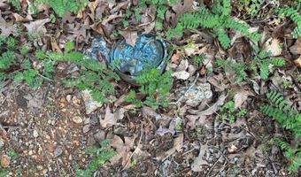 0 DAVIS ACRES Dr 72 & 73, Alpine, AL 35014