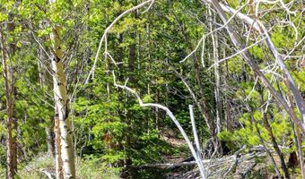 715 Lewsader Rd Lot 0, Alma, CO 80420