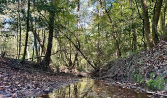 0 Lloyd Mill Rd, Andalusia, AL 36421