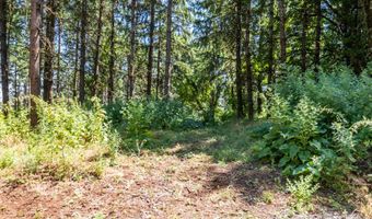 Scravel Hill RD, Albany, OR 97322