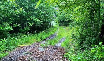 13 44 Ac Chestnut Ridge Rd, Allardt, TN 38504