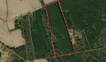 Tract A Holliman Rd, Greeleyville, SC 29056