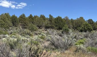 Medicine Mountain Drive 1, Beatty, OR 97621
