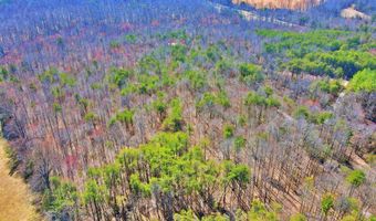 Watt Abbitt Rd, Appomattox, VA 24522