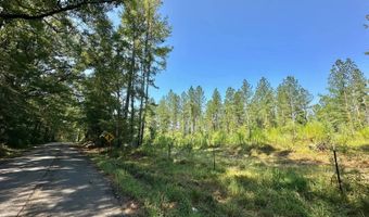 1 Prentiss Crump Rd, Terry, MS 39170