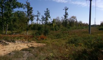 V/L 30AC Lake Winyah Road, Alpena, MI 49707