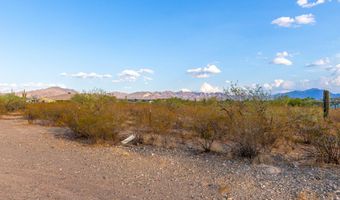 16175 S Mann Ave, Sahuarita, AZ 85629