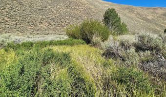 TBD Slaughterhouse Creek RD, Bellevue, ID 83313