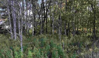 6430 6648 Admirals Point Drive Lot 9 Boat Slip 142, Alanson, MI 49706