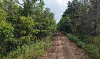 Dawling Bayou Road, Anguilla, MS 38721