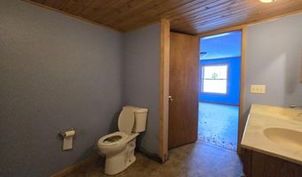 6120 Walker Rd, Afton, MI 49705