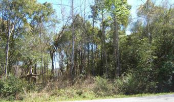 Cross St, Bagdad, FL 32583