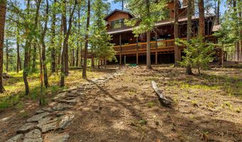 6 County Road 2070, Alpine, AZ 85920