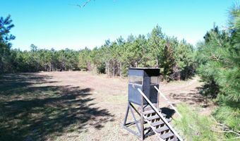 57 40 Acres-TBD Cades Rd, Cades, SC 29518