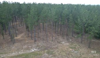 Ronald Sanks Road, Bay Minette, AL 36507