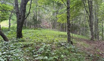 1143 Rominger Rd, Banner Elk, NC 28604