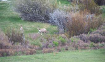 139 N PINEY LAKE 23-159, Big Piney, WY 83113