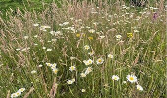 Northrup Creek Rd, Birkenfeld, OR 97016