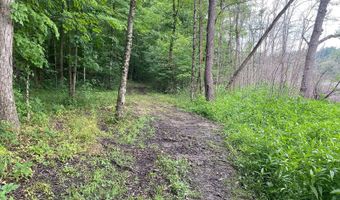 14900 Woodbridge Rd, Camden, MI 49232