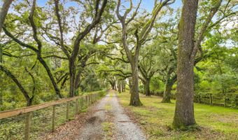 4981 NE 110TH St NE, Anthony, FL 32617