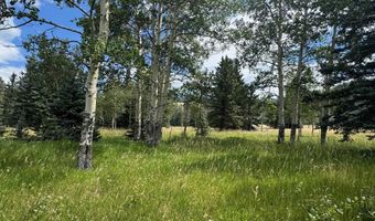El Camino Real lot 80, Angel Fire, NM 87710