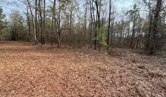 N broad St, Abbeville, GA 31001